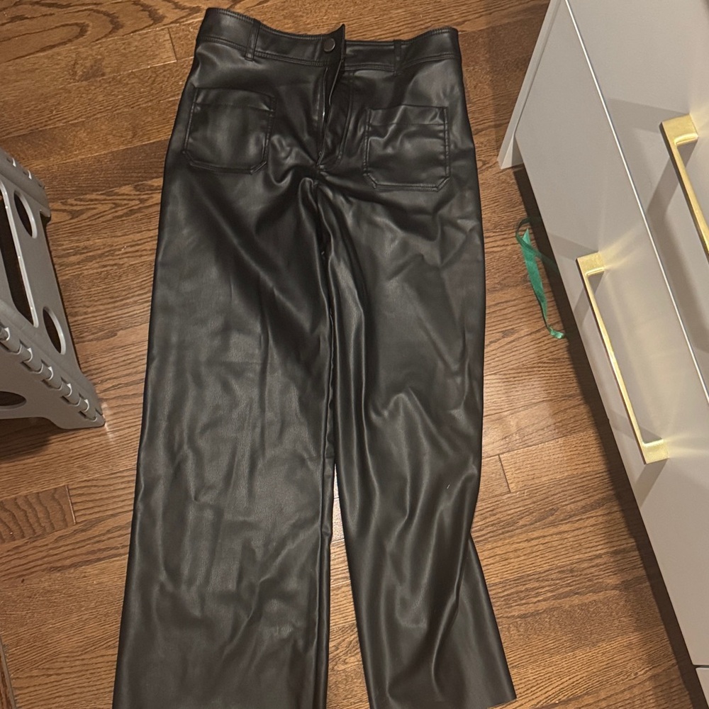 Zara Marine Faux Leather Pants